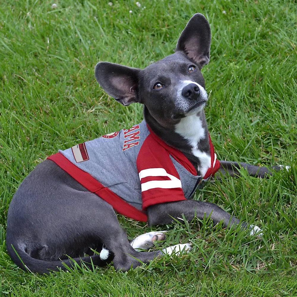 AL Crimson Tide Lightweight Pet Hoodie