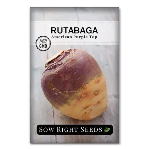 American Purple Top Rutabaga
