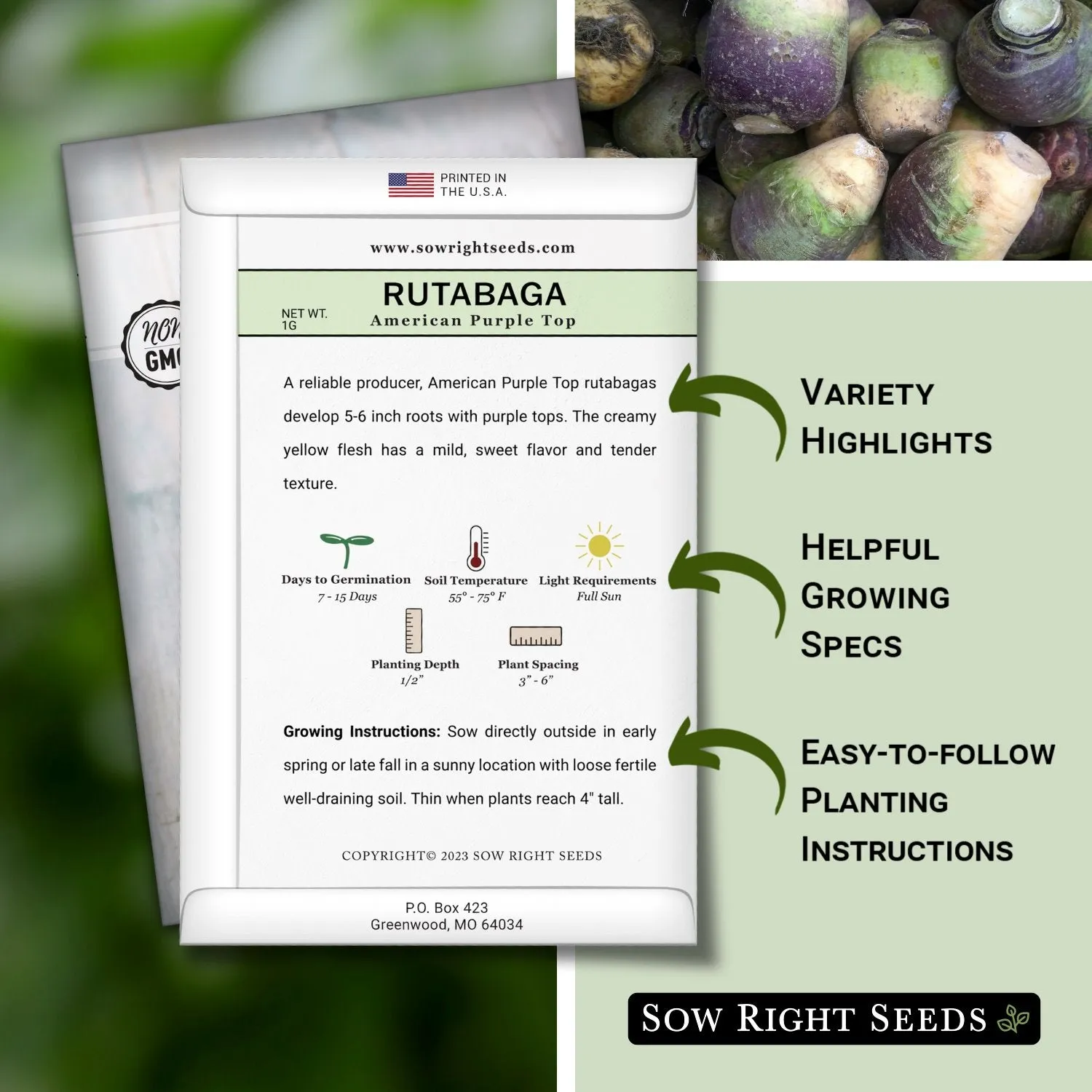 American Purple Top Rutabaga