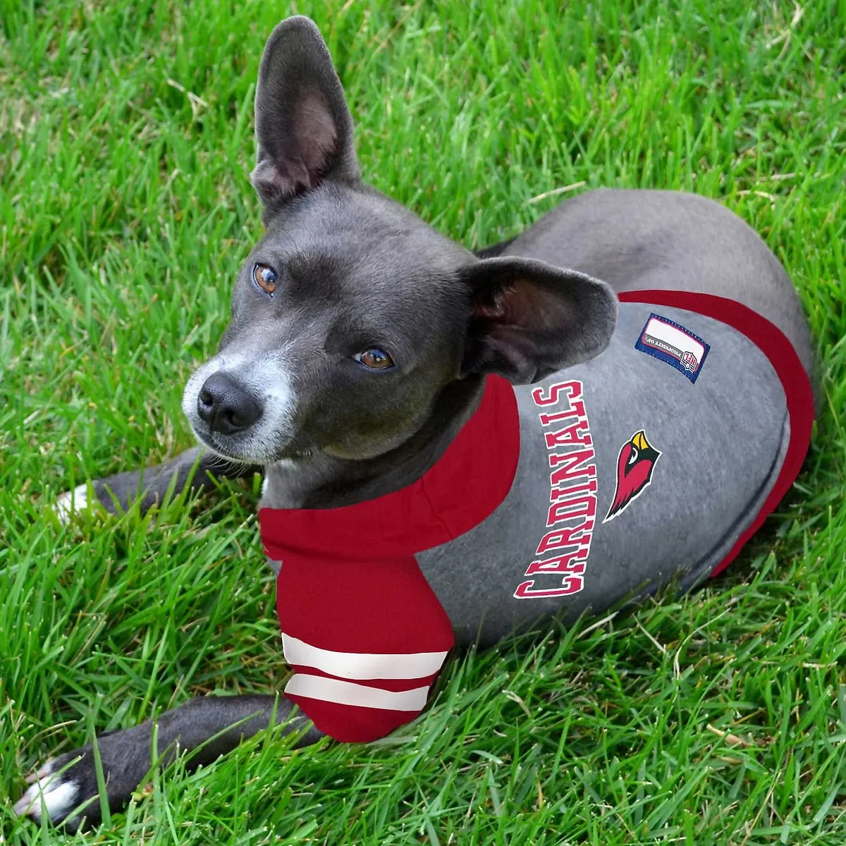 AZ Cardinals Lightweight Pet Hoodie