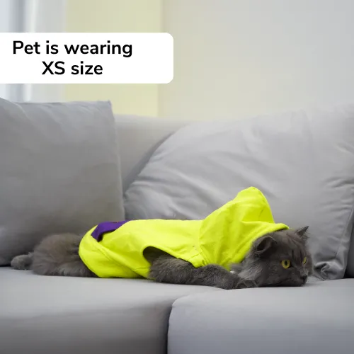 Skatrs Galaxy Breezy Vest with Pockets for Dogs and Cats (Green)