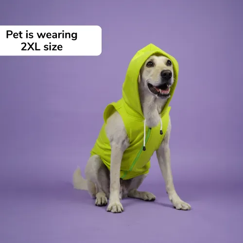 Skatrs Galaxy Breezy Vest with Pockets for Dogs and Cats (Green)