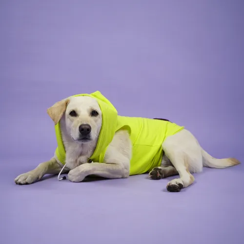 Skatrs Galaxy Breezy Vest with Pockets for Dogs and Cats (Green)
