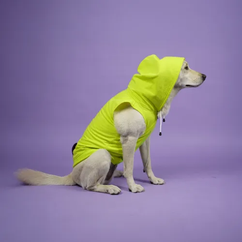 Skatrs Galaxy Breezy Vest with Pockets for Dogs and Cats (Green)