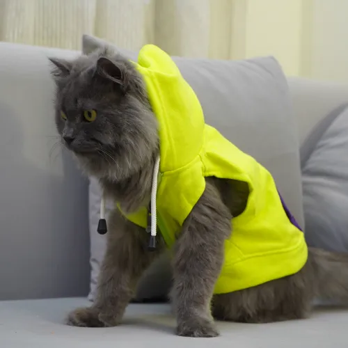 Skatrs Galaxy Breezy Vest with Pockets for Dogs and Cats (Green)